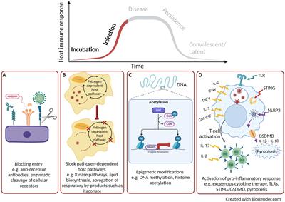 Future applications of host direct therapies for infectious disease treatment